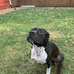 Meet your Posher, Carly